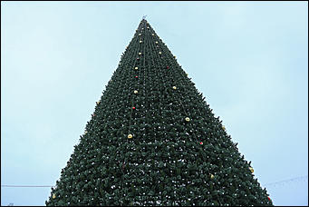 26 декабря 2017 г., Барнаул. Екатерина Смолихина   Будет и на нашей улице праздник: фотопрогулка по районным ёлкам Барнаула