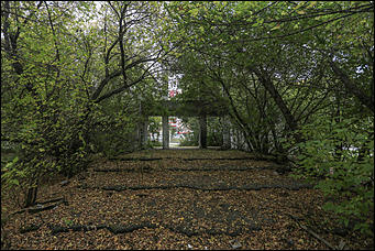 1 октября 2017 г., Барнаул. Екатерина Смолихина   Жуткое место: как выглядит самый заброшенный парк Барнаула