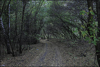 1 октября 2017 г., Барнаул. Екатерина Смолихина   Жуткое место: как выглядит самый заброшенный парк Барнаула