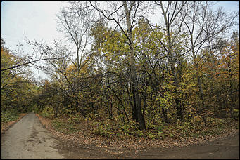 1 октября 2017 г., Барнаул. Екатерина Смолихина   Жуткое место: как выглядит самый заброшенный парк Барнаула