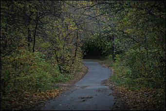 1 октября 2017 г., Барнаул. Екатерина Смолихина   Жуткое место: как выглядит самый заброшенный парк Барнаула