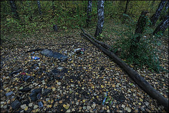 1 октября 2017 г., Барнаул. Екатерина Смолихина   Жуткое место: как выглядит самый заброшенный парк Барнаула