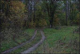 1 октября 2017 г., Барнаул. Екатерина Смолихина   Жуткое место: как выглядит самый заброшенный парк Барнаула