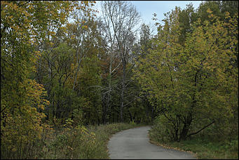 1 октября 2017 г., Барнаул. Екатерина Смолихина   Жуткое место: как выглядит самый заброшенный парк Барнаула