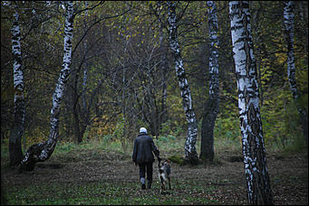 1 октября 2017 г., Барнаул. Екатерина Смолихина   Жуткое место: как выглядит самый заброшенный парк Барнаула