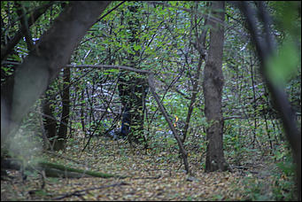 1 октября 2017 г., Барнаул. Екатерина Смолихина   Жуткое место: как выглядит самый заброшенный парк Барнаула