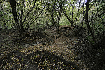1 октября 2017 г., Барнаул. Екатерина Смолихина   Жуткое место: как выглядит самый заброшенный парк Барнаула