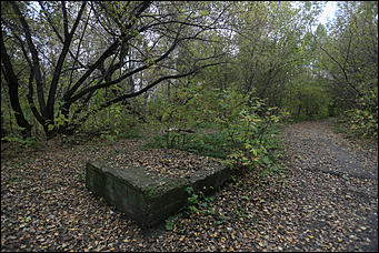 1 октября 2017 г., Барнаул. Екатерина Смолихина   Жуткое место: как выглядит самый заброшенный парк Барнаула