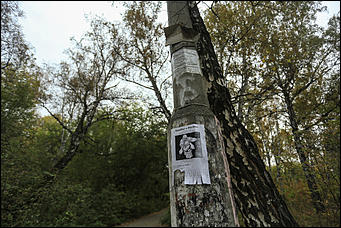 1 октября 2017 г., Барнаул. Екатерина Смолихина   Жуткое место: как выглядит самый заброшенный парк Барнаула