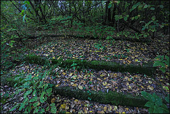 1 октября 2017 г., Барнаул. Екатерина Смолихина   Жуткое место: как выглядит самый заброшенный парк Барнаула