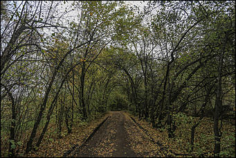 1 октября 2017 г., Барнаул. Екатерина Смолихина   Жуткое место: как выглядит самый заброшенный парк Барнаула
