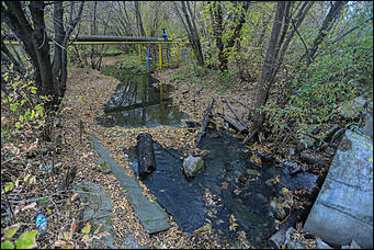 1 октября 2017 г., Барнаул. Екатерина Смолихина   Жуткое место: как выглядит самый заброшенный парк Барнаула