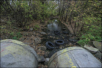 1 октября 2017 г., Барнаул. Екатерина Смолихина   Жуткое место: как выглядит самый заброшенный парк Барнаула