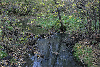 1 октября 2017 г., Барнаул. Екатерина Смолихина   Жуткое место: как выглядит самый заброшенный парк Барнаула