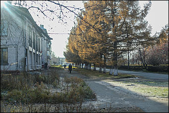 25 октября 2017 г., Барнаул. Екатерина Смолихина   На юге среди сосен: фотопрогулка по барнаульскому посёлку Южный