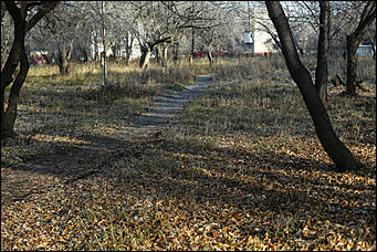 25 октября 2017 г., Барнаул. Екатерина Смолихина   На юге среди сосен: фотопрогулка по барнаульскому посёлку Южный