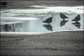 25 октября 2017 г., Барнаул. Екатерина Смолихина   На юге среди сосен: фотопрогулка по барнаульскому посёлку Южный