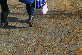 25 октября 2017 г., Барнаул. Екатерина Смолихина   На юге среди сосен: фотопрогулка по барнаульскому посёлку Южный