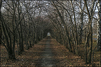 25 октября 2017 г., Барнаул. Екатерина Смолихина   На юге среди сосен: фотопрогулка по барнаульскому посёлку Южный