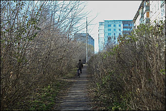 25 октября 2017 г., Барнаул. Екатерина Смолихина   На юге среди сосен: фотопрогулка по барнаульскому посёлку Южный