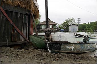 4 июня 2007 г. Затон   Вода наступает