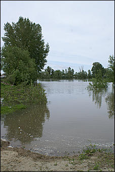 8 июня 2007 г., Барнаул   Затон: в ожидании подъема воды