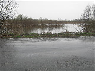 4 мая 2010 г., Барнаул   Подтопление пос. Затон