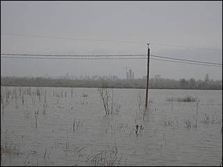 4 мая 2010 г., Барнаул   Подтопление пос. Затон