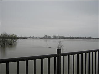 4 мая 2010 г., Барнаул   Подтопление пос. Затон