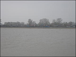 4 мая 2010 г., Барнаул   Подтопление пос. Затон