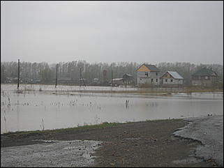 4 мая 2010 г., Барнаул   Подтопление пос. Затон