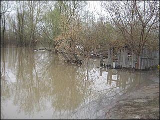 4 мая 2010 г., Барнаул   Подтопление пос. Затон