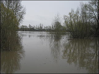 4 мая 2010 г., Барнаул   Подтопление пос. Затон