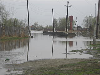 4 мая 2010 г., Барнаул   Подтопление пос. Затон