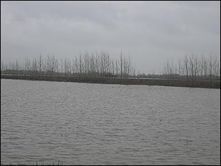 4 мая 2010 г., Барнаул   Подтопление пос. Затон