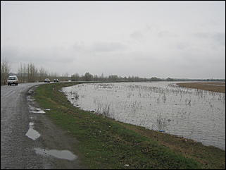 4 мая 2010 г., Барнаул   Подтопление пос. Затон