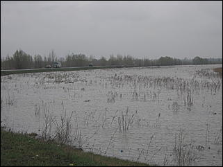 4 мая 2010 г., Барнаул   Подтопление пос. Затон