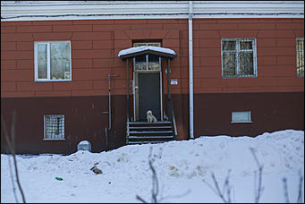 16 марта 2018 г., Барнаул. Екатерина Смолихина   Петербургский дух и конструктивизм: фотопрогулка по барнаульской Жилплощадке