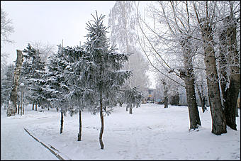 8 декабря 2007 г., Барнаул   Сказочная зима в Барнауле