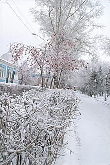 8 декабря 2007 г., Барнаул   Сказочная зима в Барнауле
