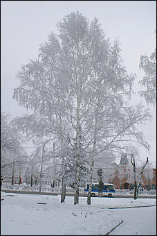 8 декабря 2007 г., Барнаул   Сказочная зима в Барнауле