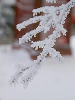 8 декабря 2007 г., Барнаул   Сказочная зима в Барнауле