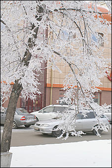 8 декабря 2007 г., Барнаул   Сказочная зима в Барнауле