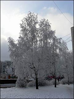 8 декабря 2007 г., Барнаул   Сказочная зима в Барнауле