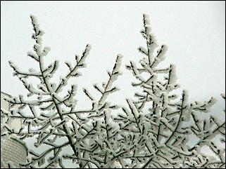 8 декабря 2007 г., Барнаул   Сказочная зима в Барнауле