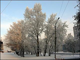 8 декабря 2007 г., Барнаул   Сказочная зима в Барнауле