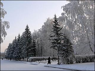 8 декабря 2007 г., Барнаул   Сказочная зима в Барнауле