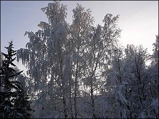 8 декабря 2007 г., Барнаул   Сказочная зима в Барнауле