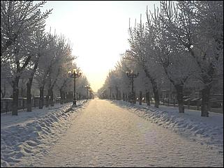 8 декабря 2007 г., Барнаул   Сказочная зима в Барнауле