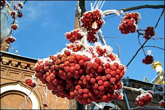 8 декабря 2007 г., Барнаул   Сказочная зима в Барнауле